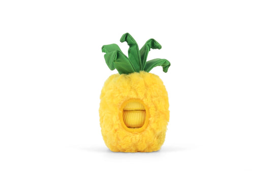 Tropical Paradise Pineapple Interactive Toy